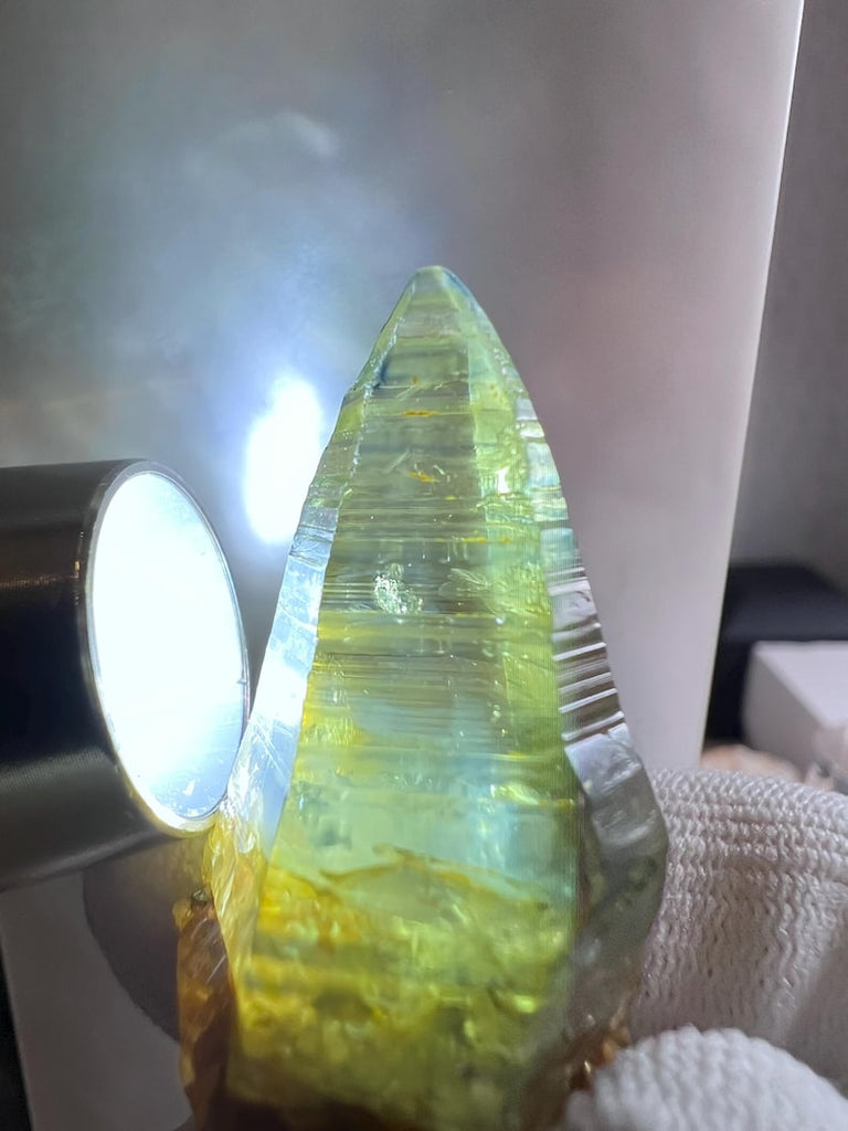 145.57 ct - Extremely Rare Natural Yellow Green Sapphire - Rough - Unheated & No treatments - Origin: Sri Lanka - GFCO Certified