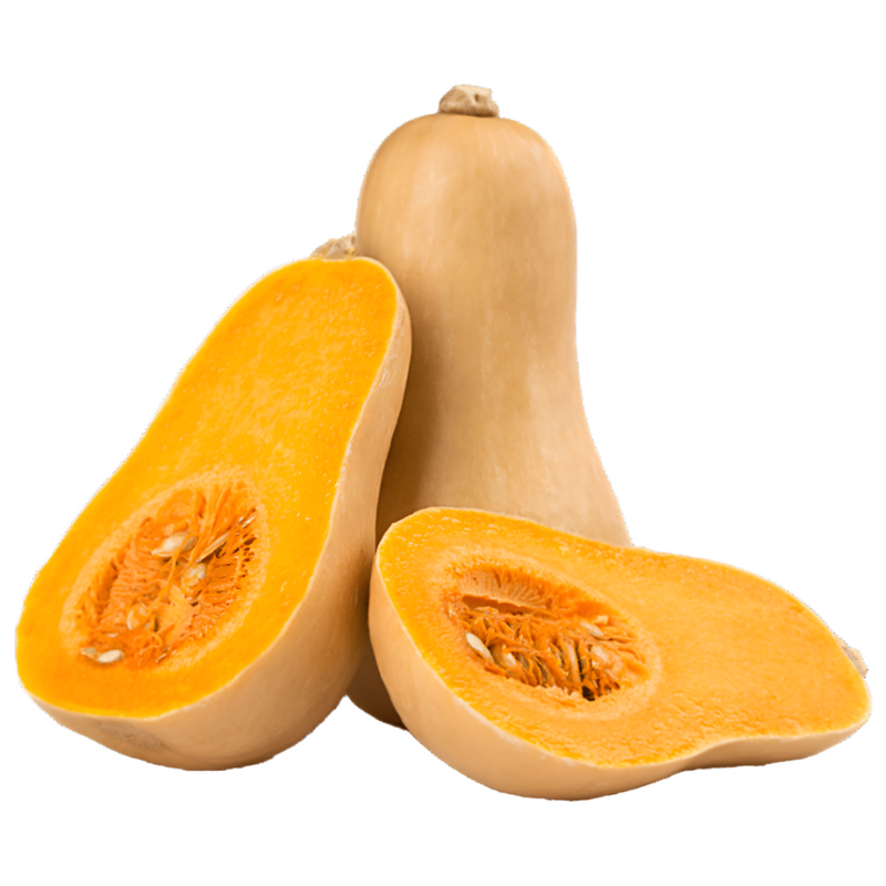 fresh-butternut-squash