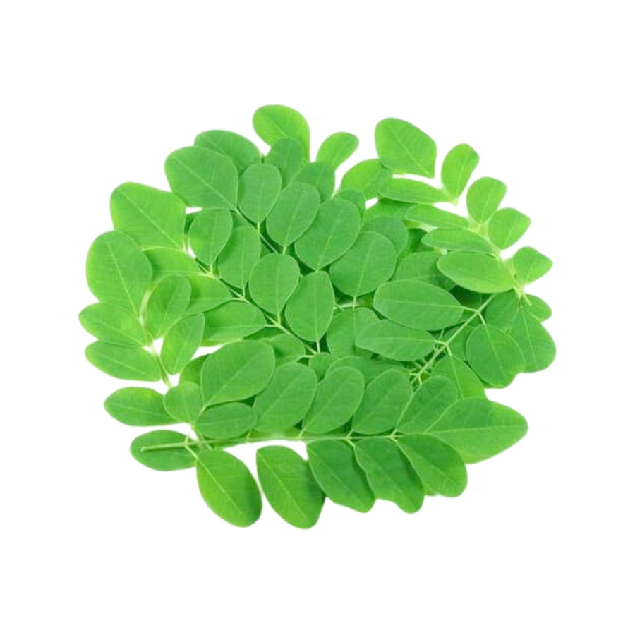 moringa leaves