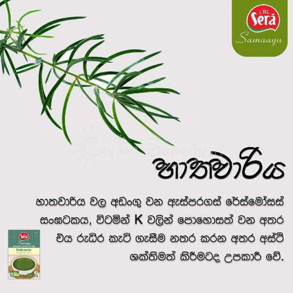 Buy CBL Samaayu Hathawariya Herbal Porridge, Herbal Soup, 50g from ...